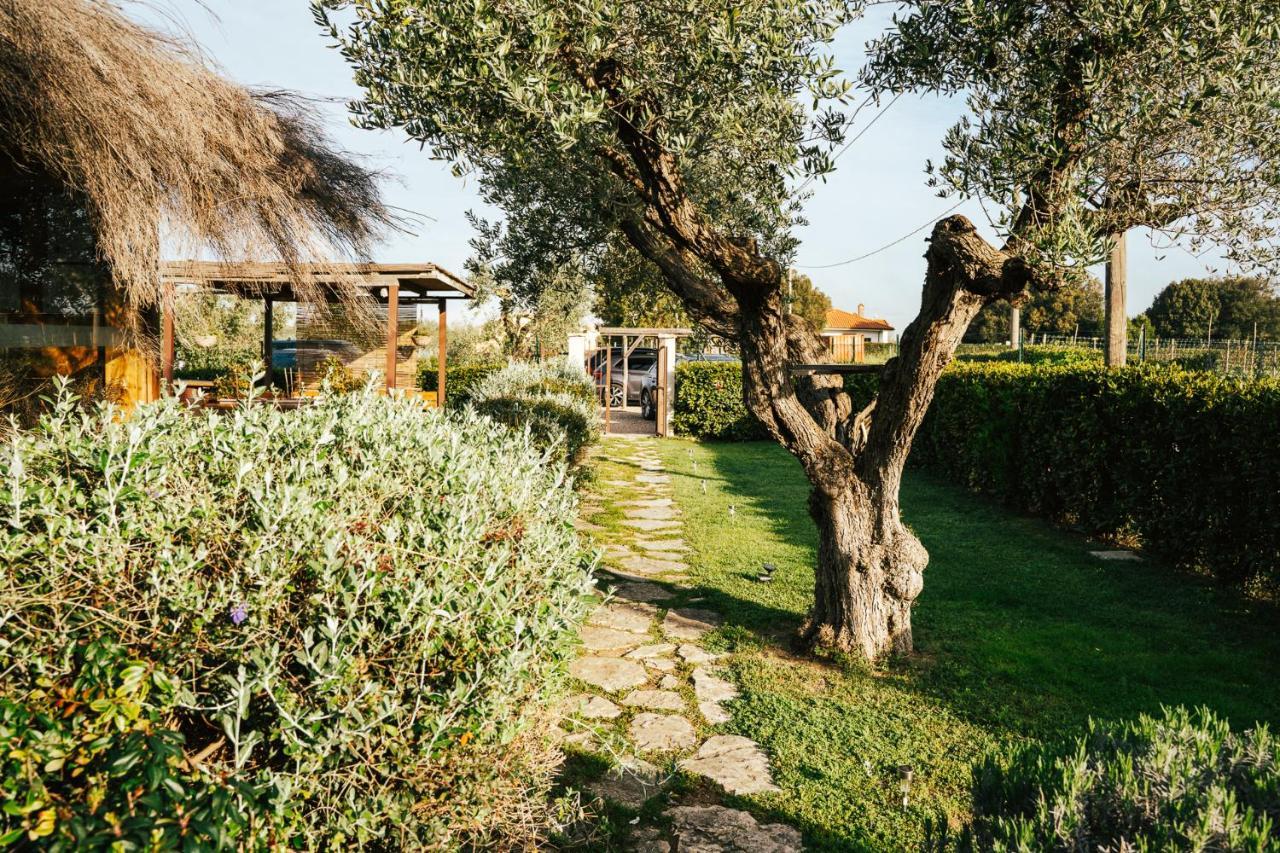 Agriturismo Sweet Cottage مارينا دي غروسيتو المظهر الخارجي الصورة